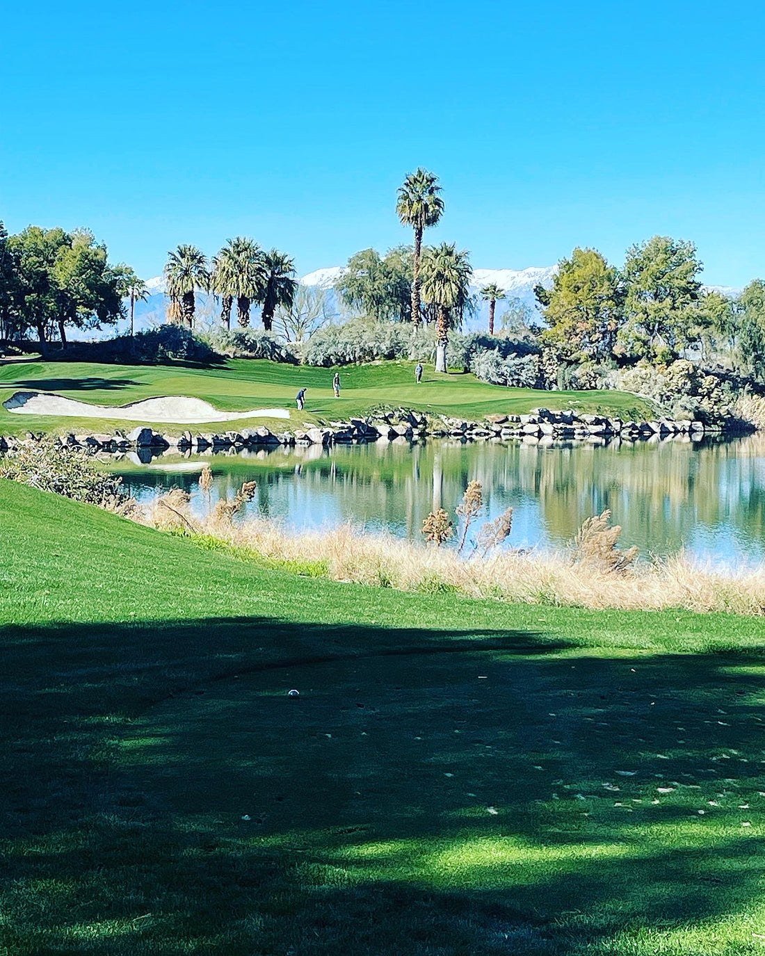 Marriott Shadow Ridge Golf Club
