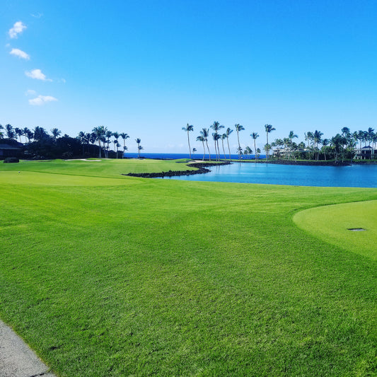 Mauna Lani Resort- South Course